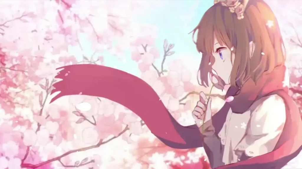 kano cherry blossom (pclivewallpaper.com)